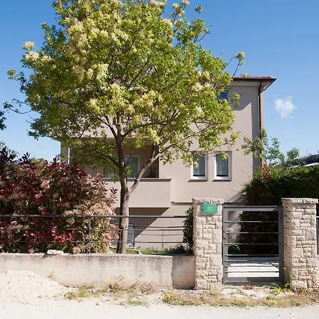 Apartmán Pino *